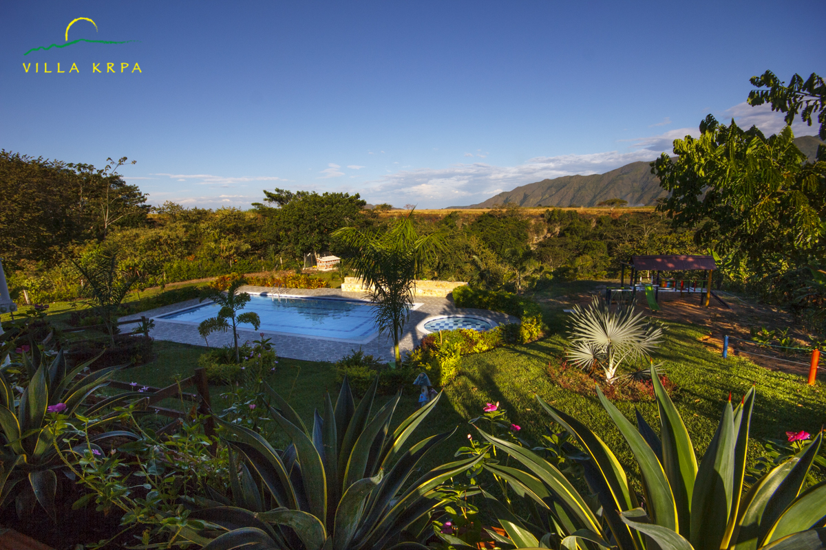 Piscina y palmas en Villa Krpa